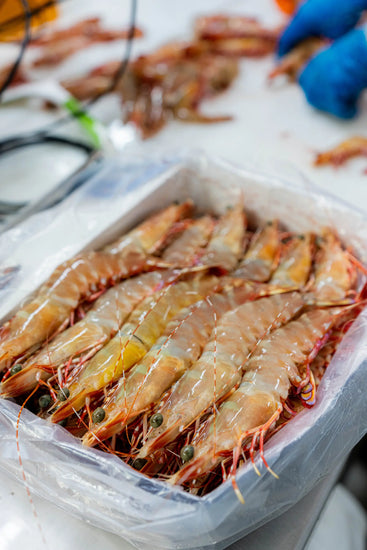 1kg of frozen Skull Island Tiger Prawns