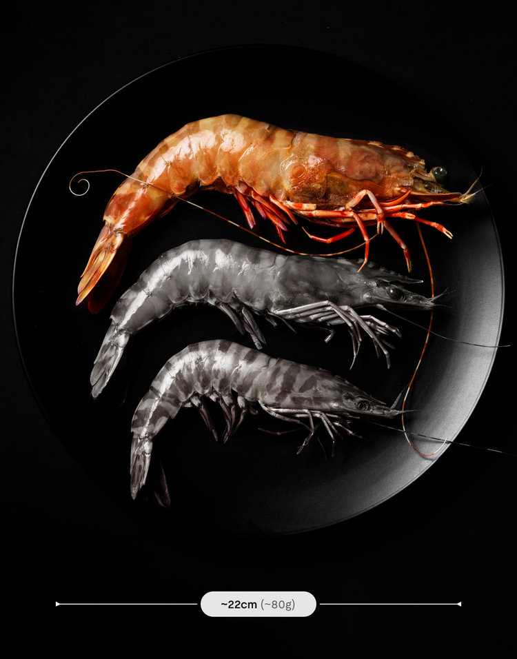 Premium Prawns