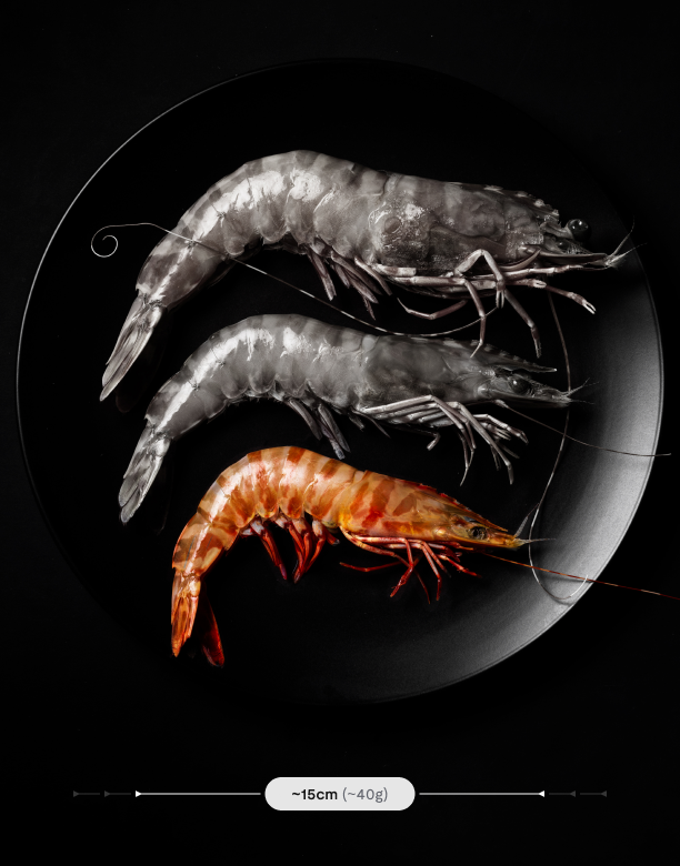 Premium Prawns