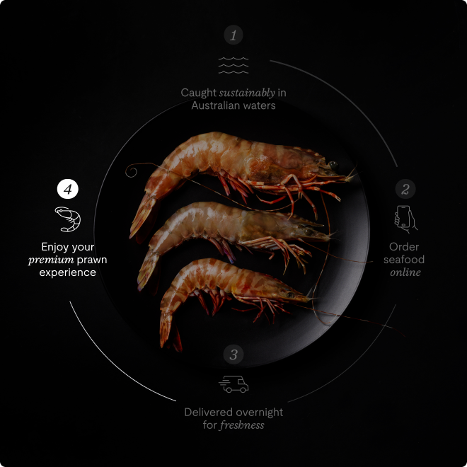 Skull Island Tiger Prawns